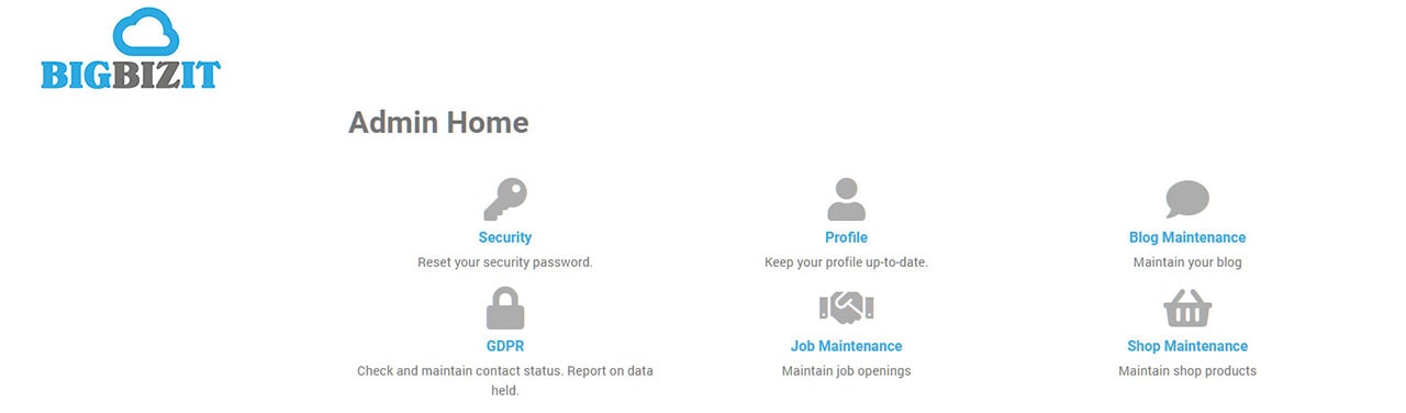 Bigbizit website management dashboard