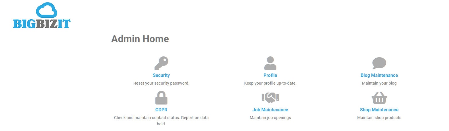 Bigbizit website management dashboard