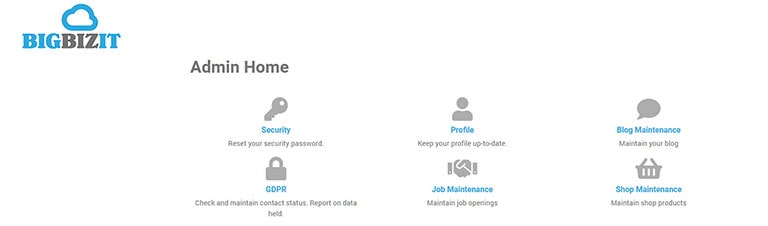 Bigbizit website management dashboard